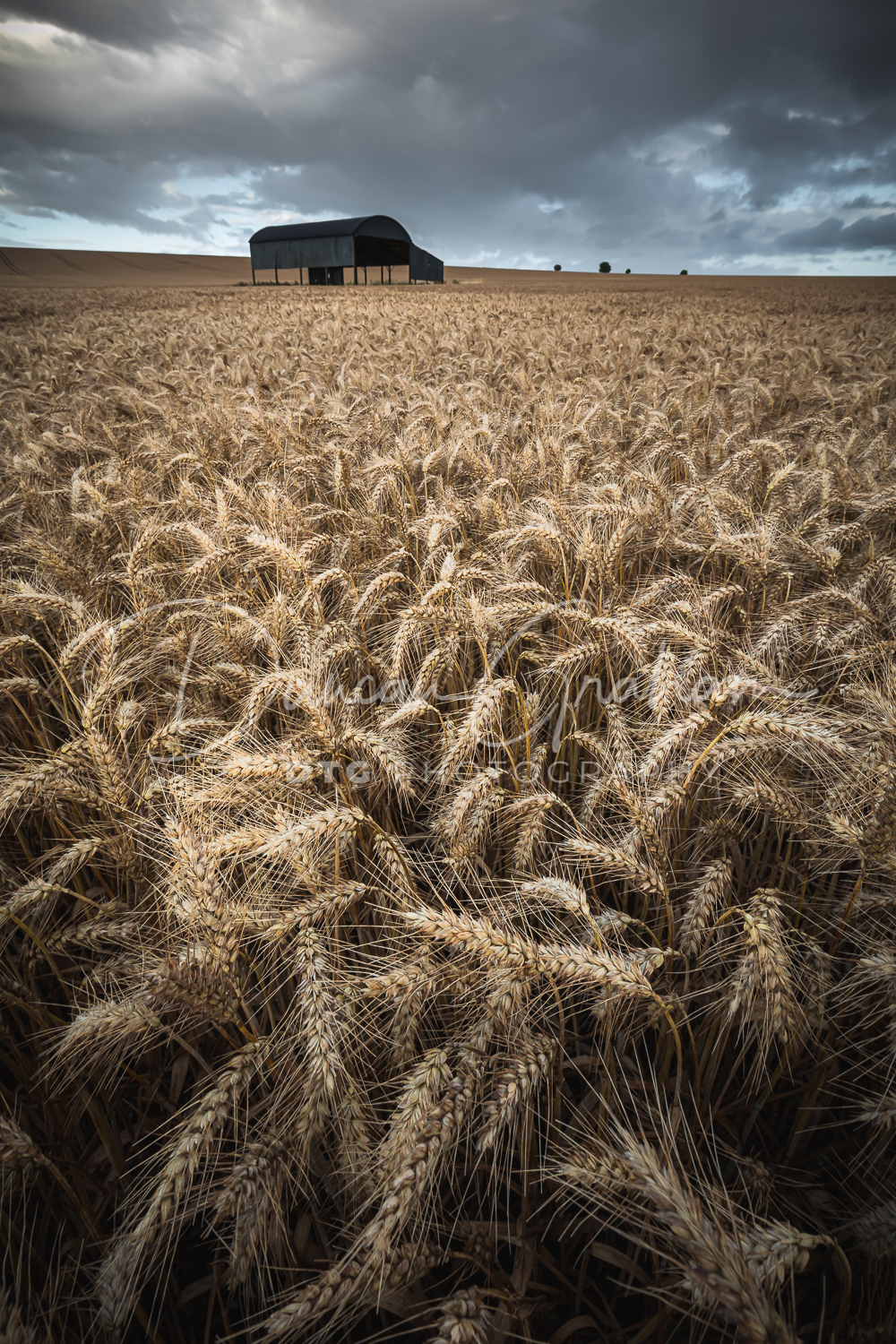 Dorset Landscapes