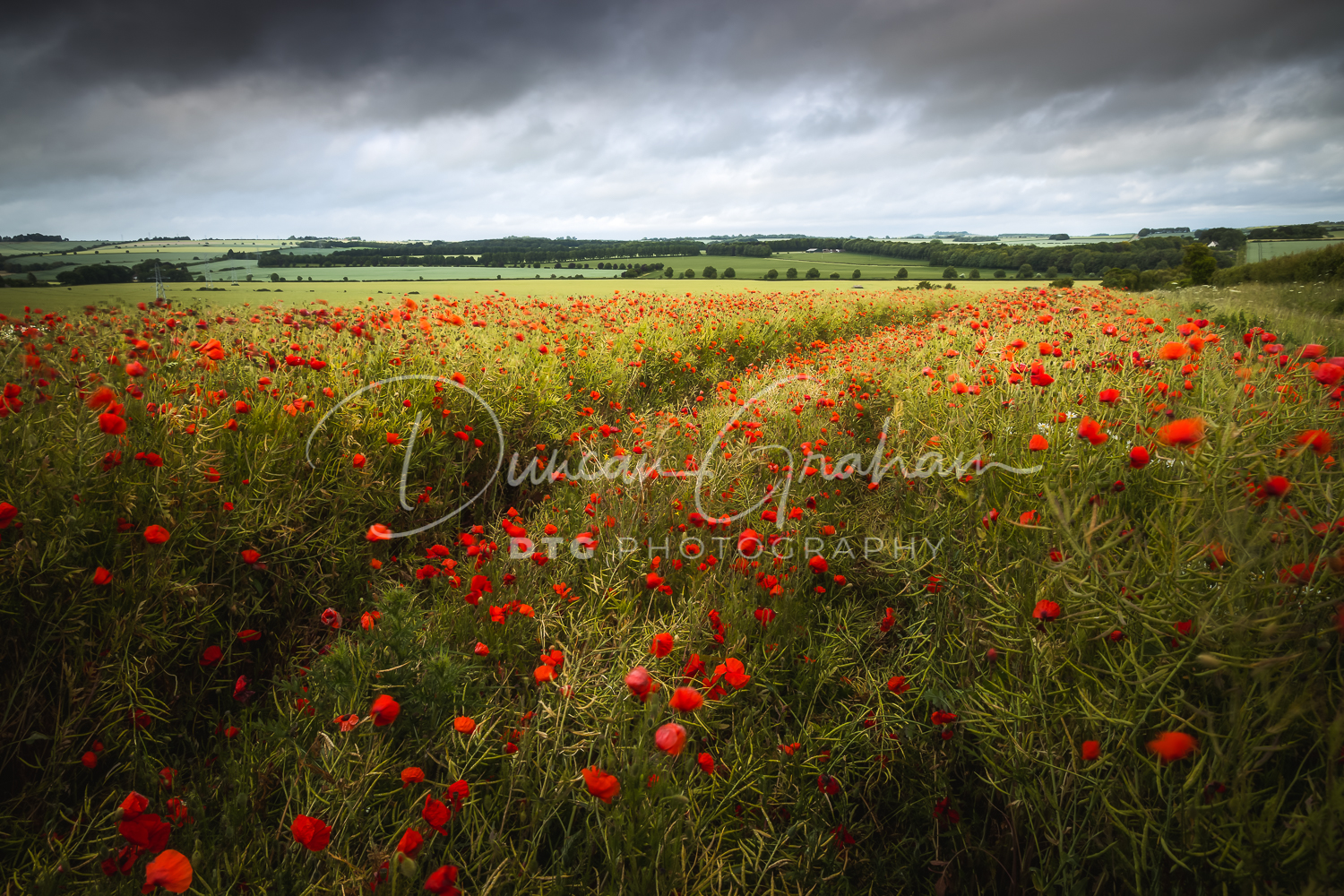 Dorset Landscapes