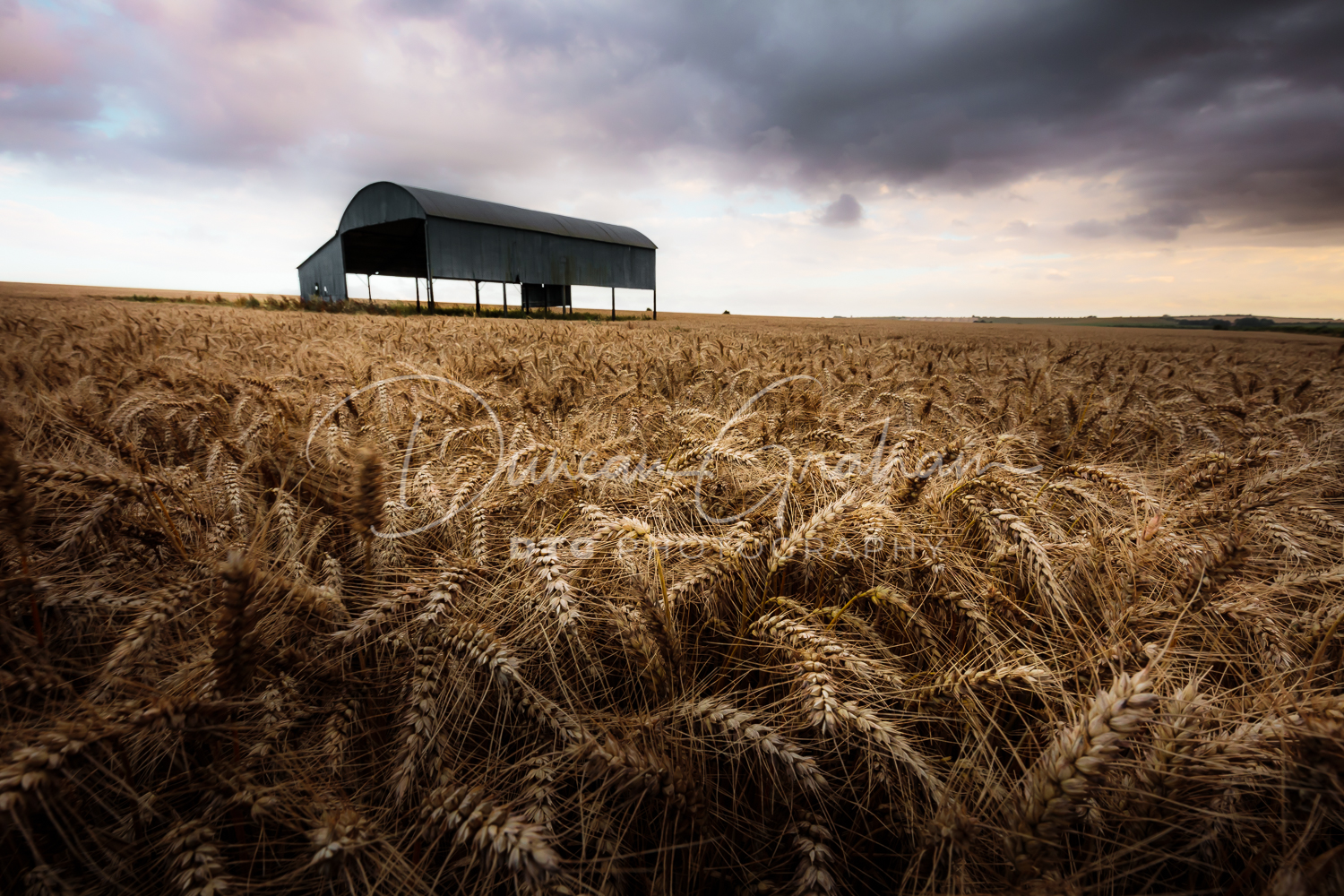 Dorset Landscapes