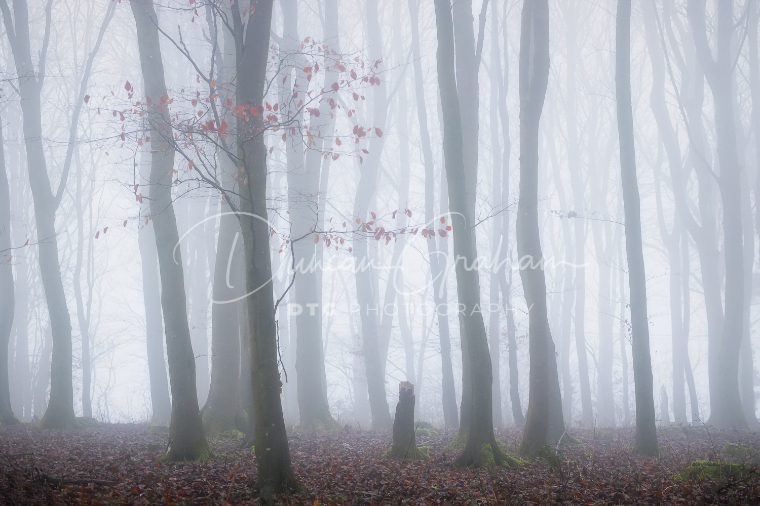 Dorset Landscapes