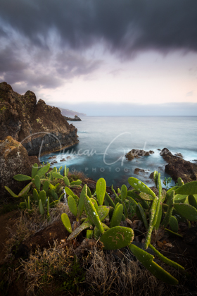 Madeira