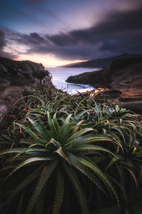 Madeira